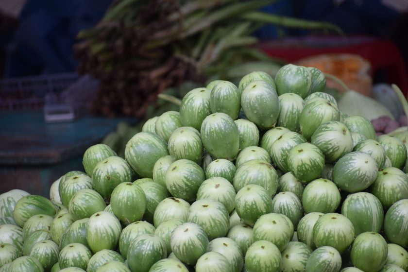 Grüne Aubergine Thai Manee